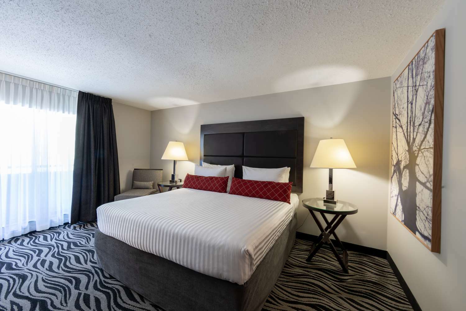Surestay Hotel By Best Western קסטלגאר חדר תמונה